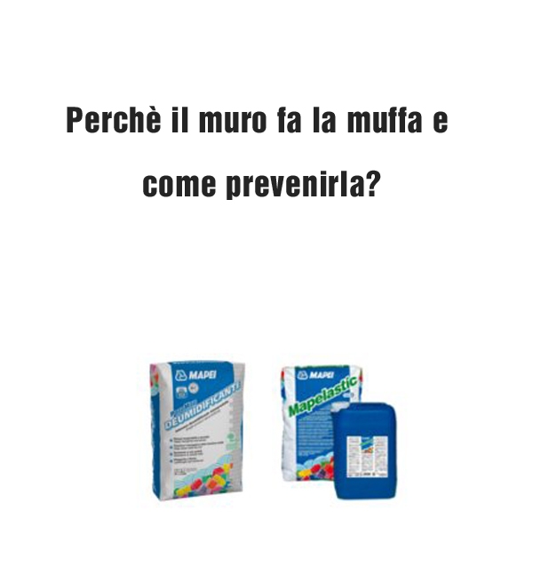 Perchè il muro fa la muffa e come prevenirla?